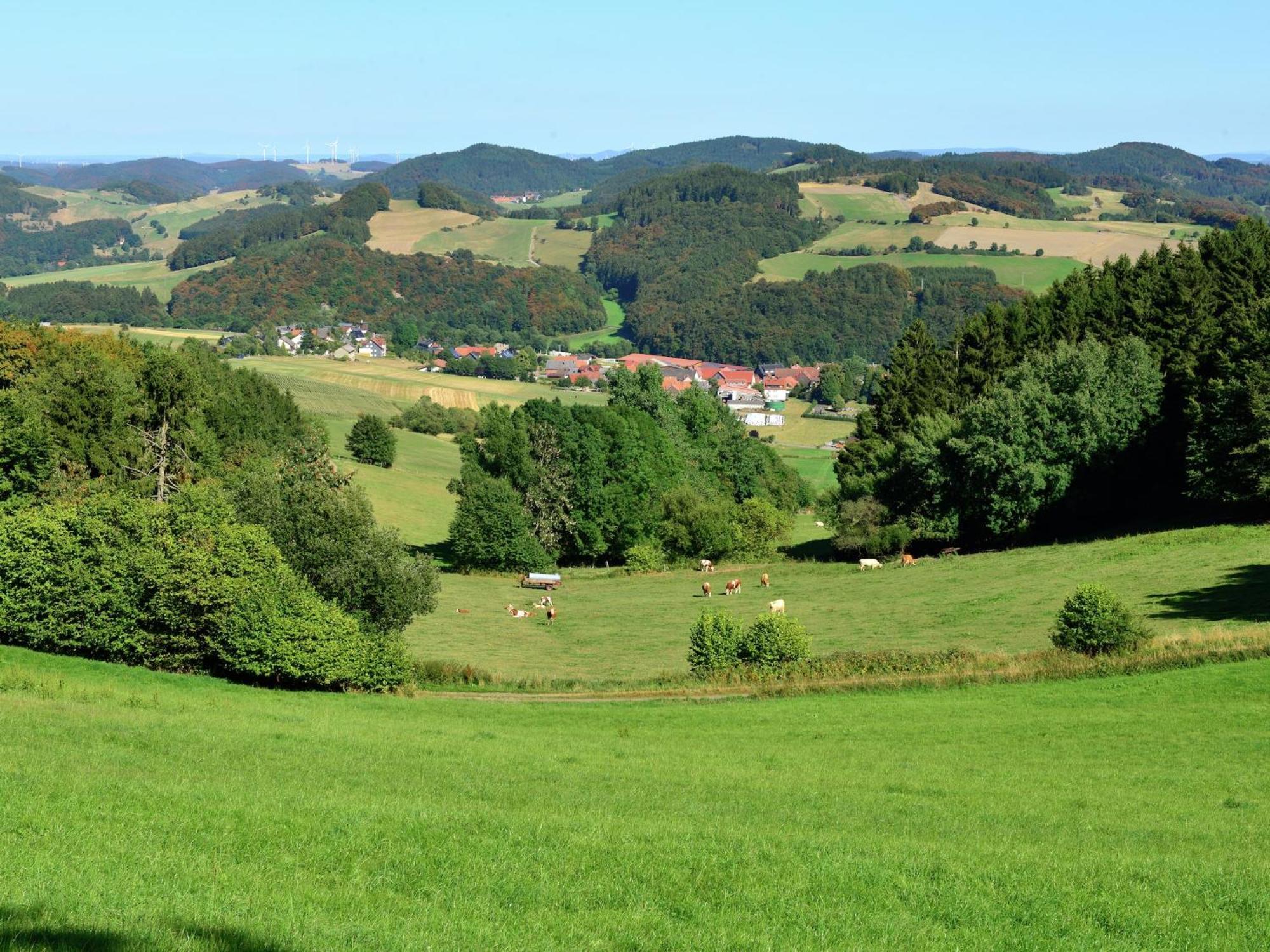 Quaint Apartment In Eimelrod Near Lake And Water Sports Willingen  Esterno foto